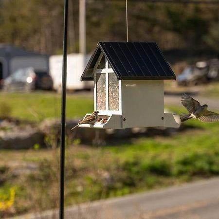Cozy Cottage, Hot Tub, Fire Pit, 15Min To Hudson And Hiking Catskill Exterior photo